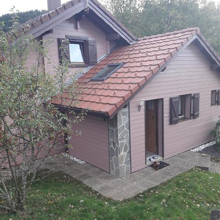 Chalet Les Sapins Argentes جوراردُميه المظهر الخارجي الصورة