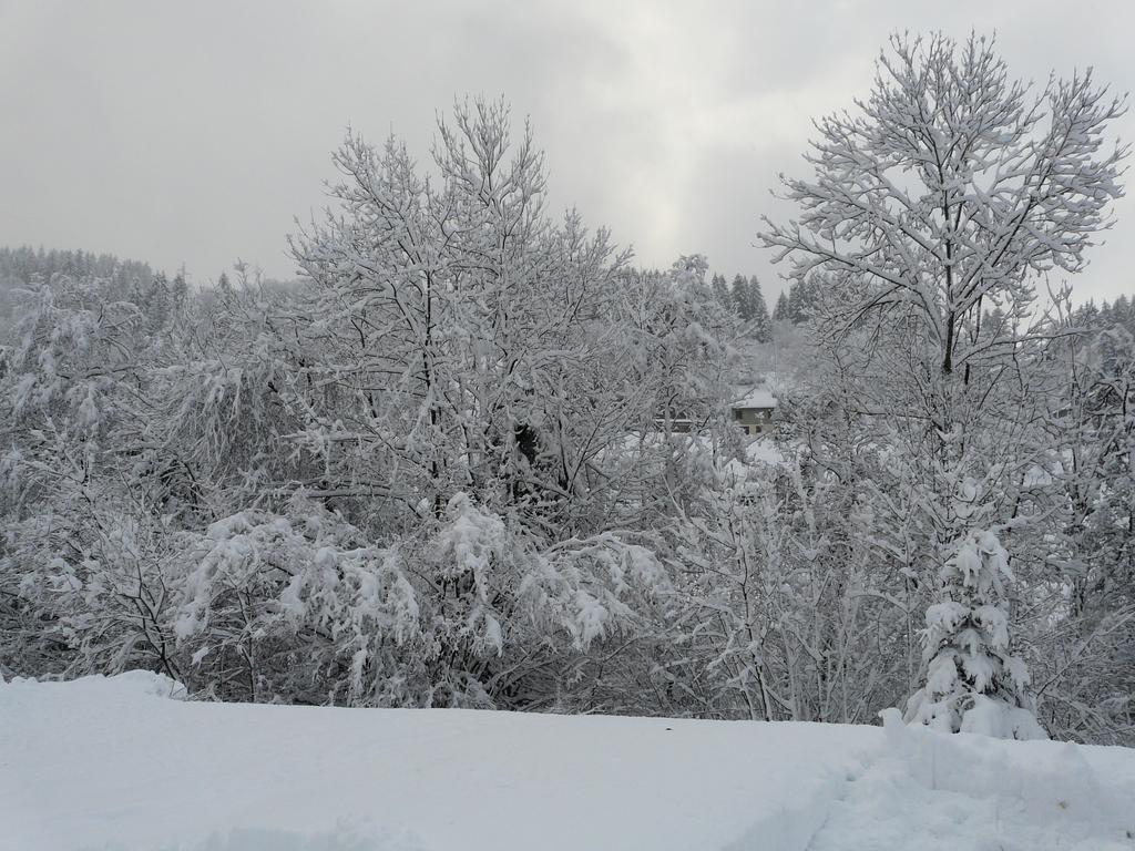 Chalet Les Sapins Argentes جوراردُميه المظهر الخارجي الصورة