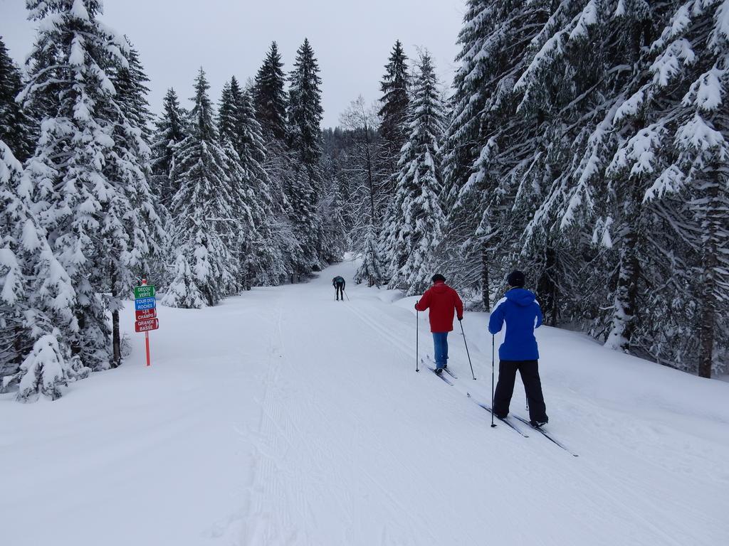 Chalet Les Sapins Argentes جوراردُميه المظهر الخارجي الصورة
