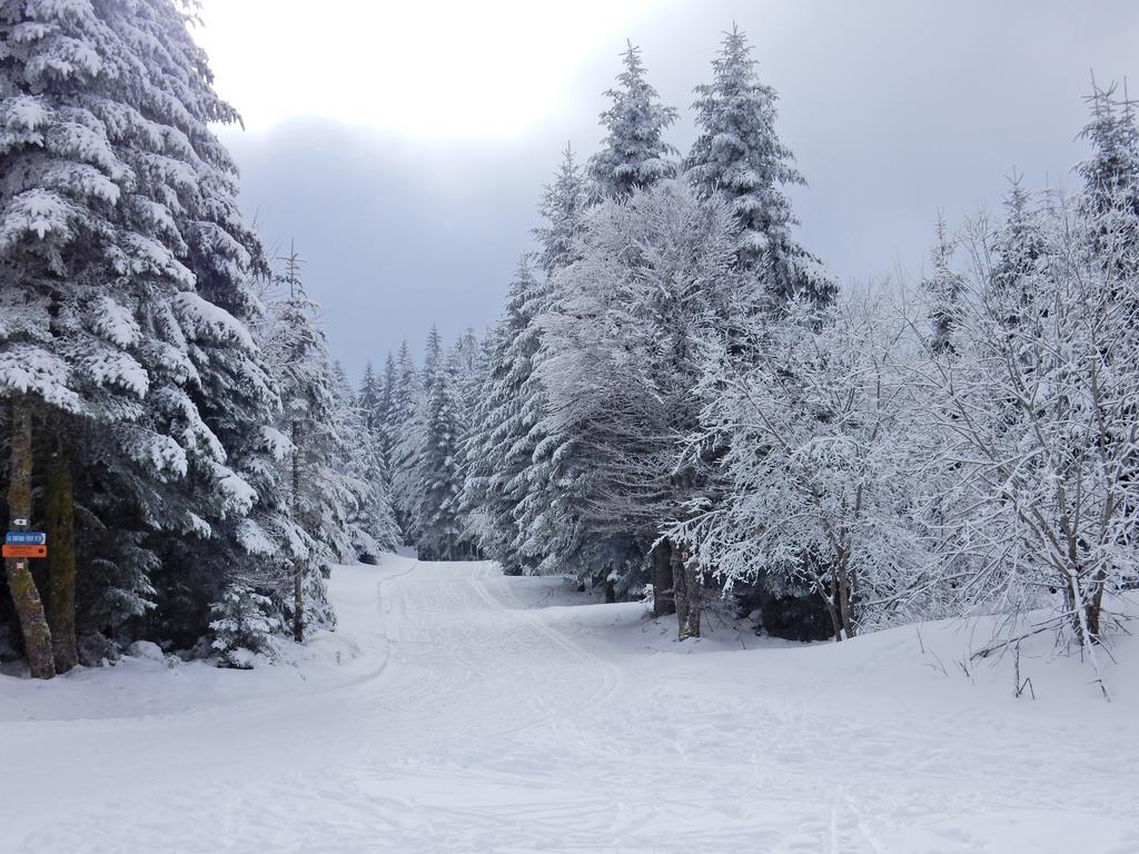 Chalet Les Sapins Argentes جوراردُميه المظهر الخارجي الصورة