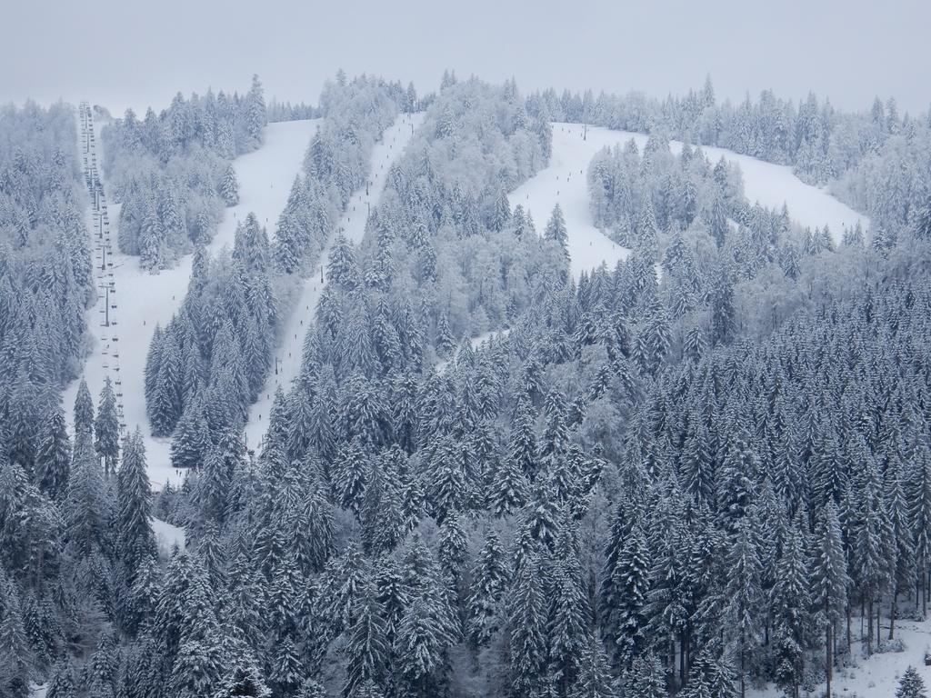 Chalet Les Sapins Argentes جوراردُميه المظهر الخارجي الصورة