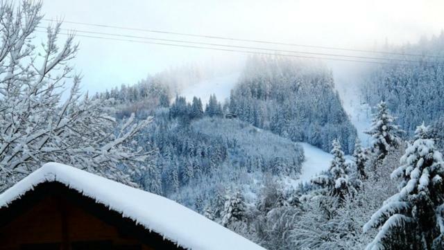 Chalet Les Sapins Argentes جوراردُميه المظهر الخارجي الصورة
